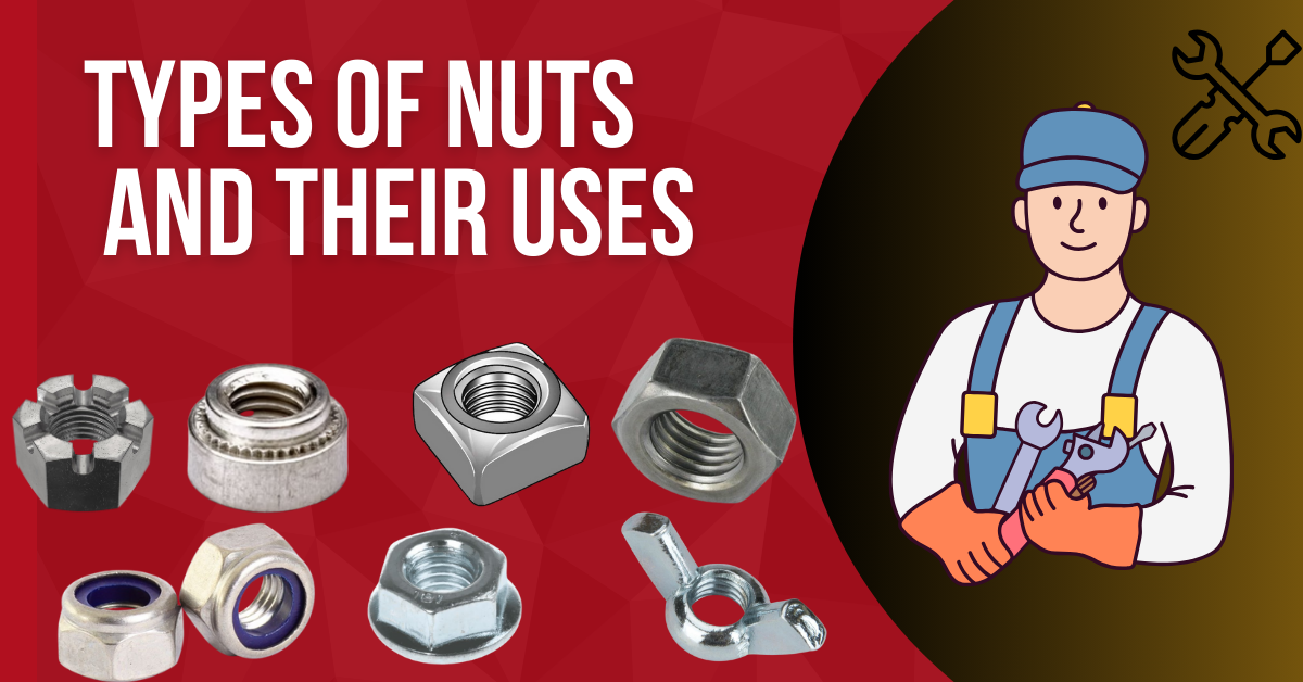 Types of Nuts and Their Uses